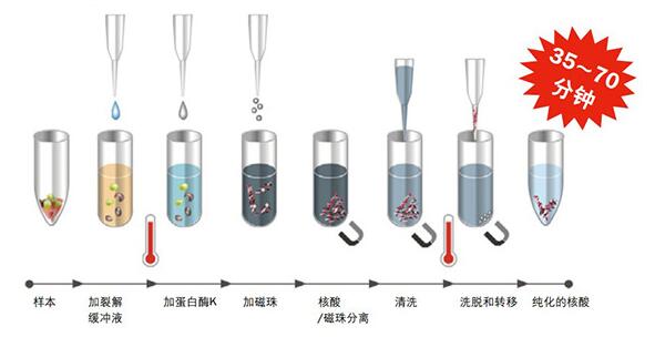 操作过程.jpg